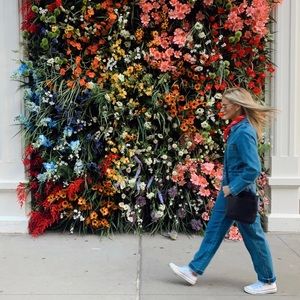 Meet your Posher, Phoebe